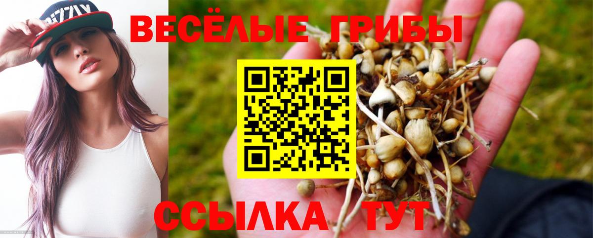 Псилоцибиновые грибы мухоморы Томск